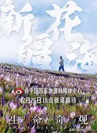 《生命奇观》:震撼心灵的自然史诗,探索生命的无限可能